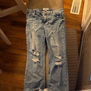 Lovervet Distressed Blue Jeans